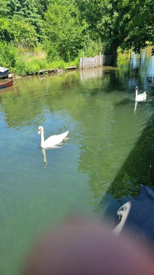 Au Fils De L'Eau Hotel Strasbourg Luaran gambar